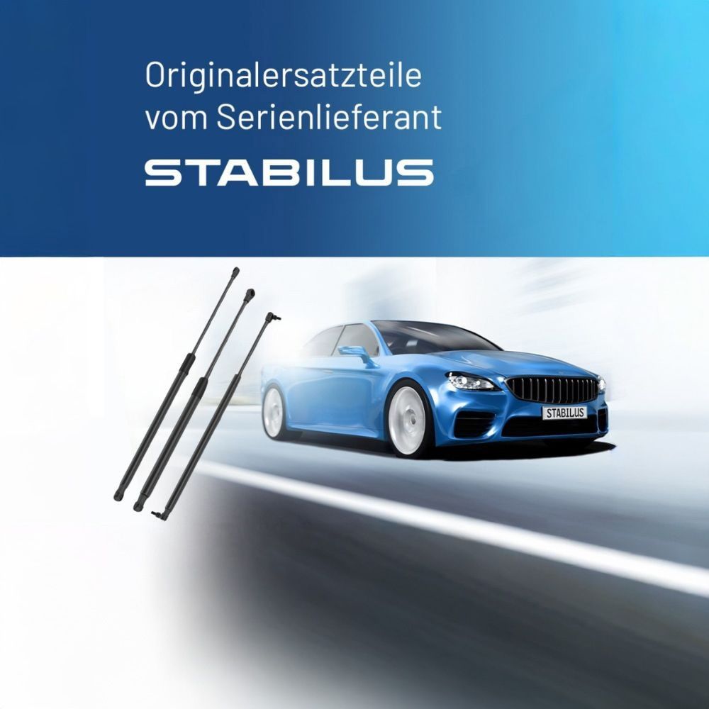Stabilus
